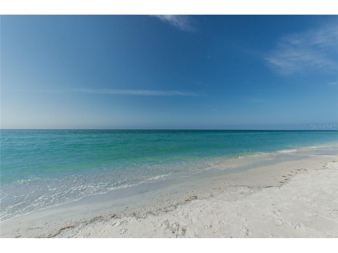 3840 Staysail Lane #X Holiday FL 34691 TB8446135 image28