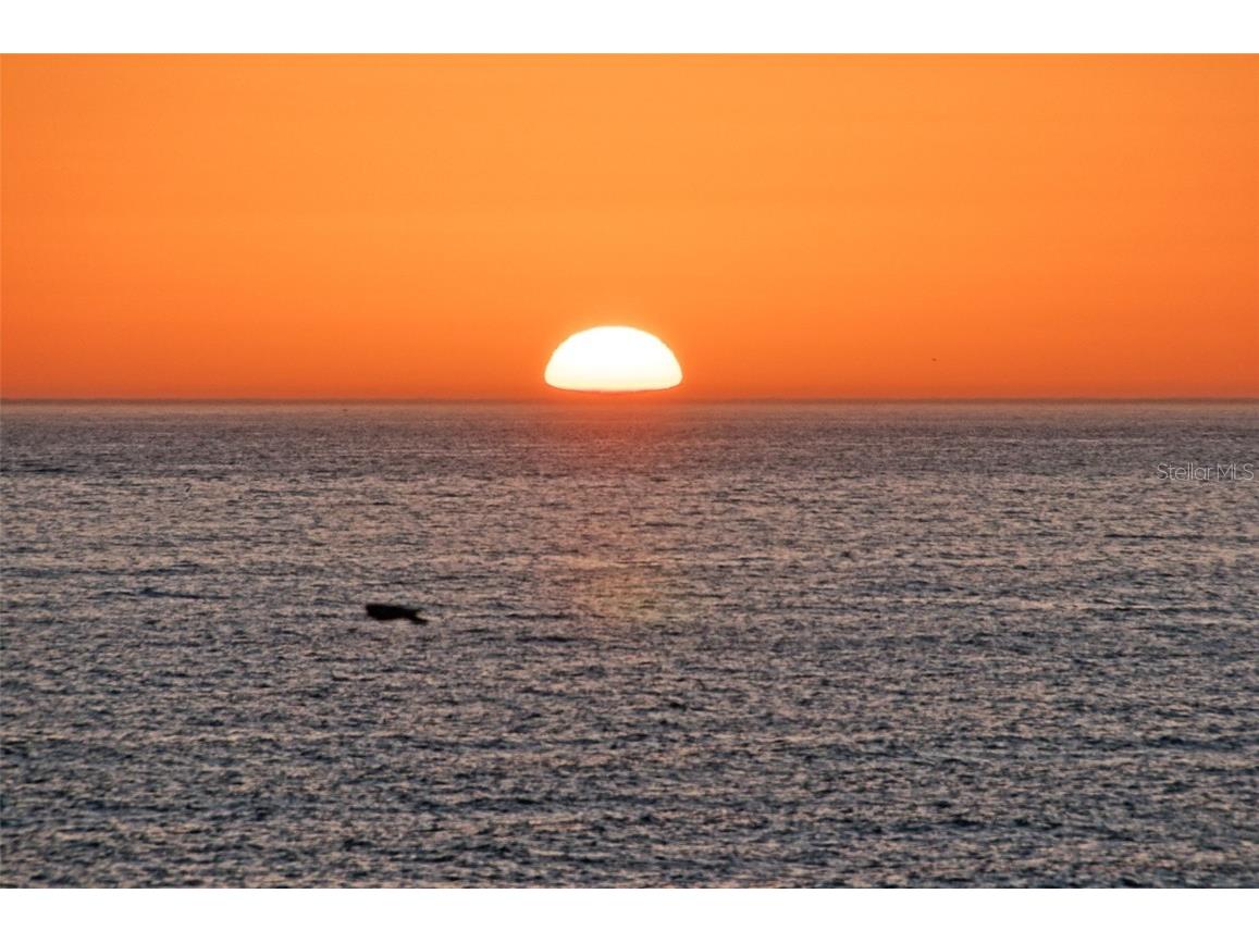 3840 Staysail Lane #X Holiday FL 34691 TB8446135 image31