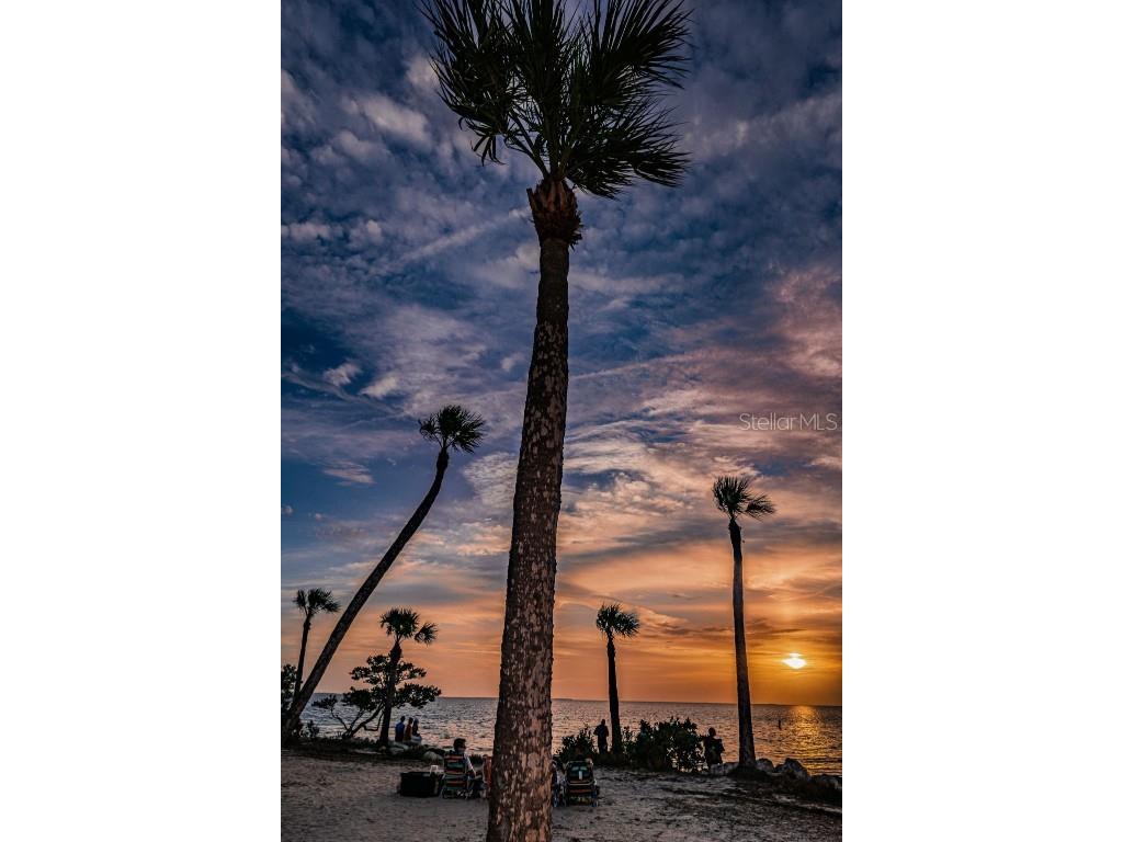 3840 Staysail Lane #X Holiday FL 34691 TB8446135 image33