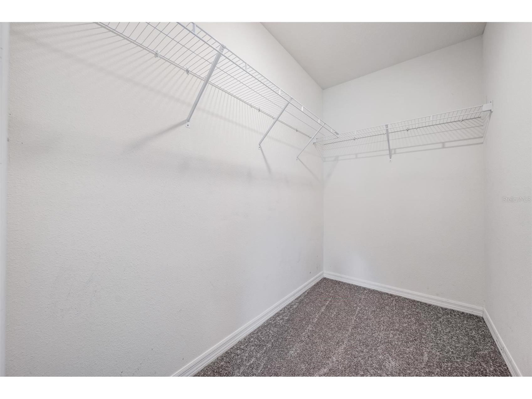 38400 Sonnet Landing Avenue Zephyrhills FL 33540 TB8500003 image14
