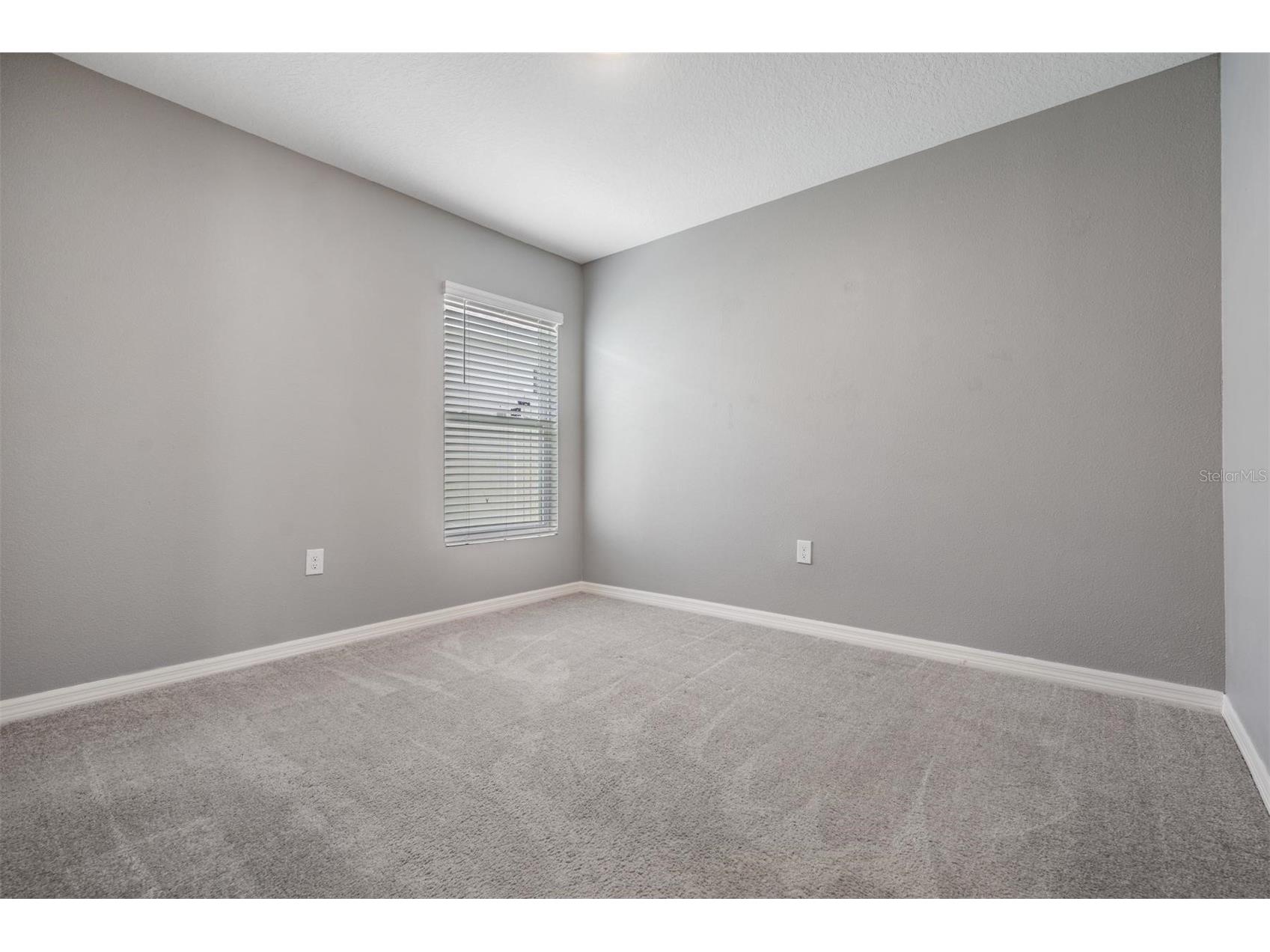38400 Sonnet Landing Avenue Zephyrhills FL 33540 TB8500003 image15
