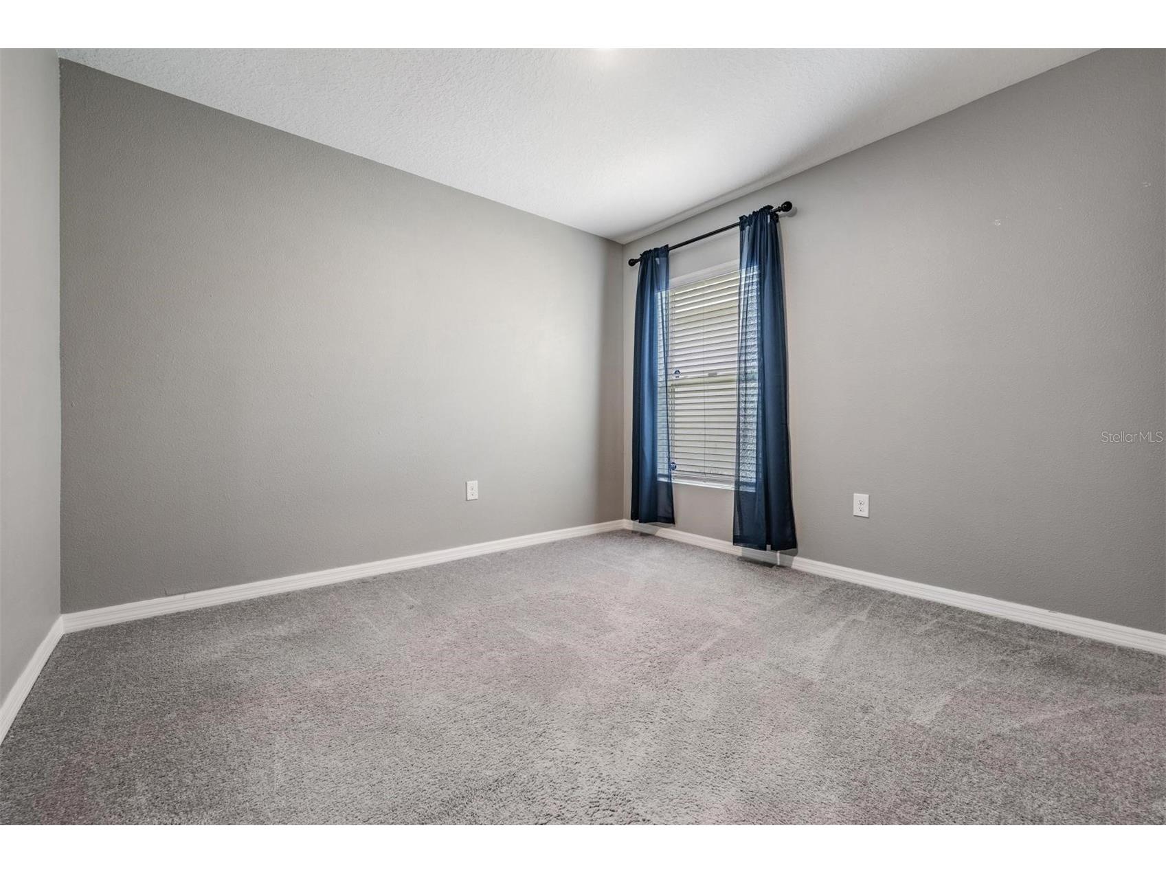 38400 Sonnet Landing Avenue Zephyrhills FL 33540 TB8500003 image16