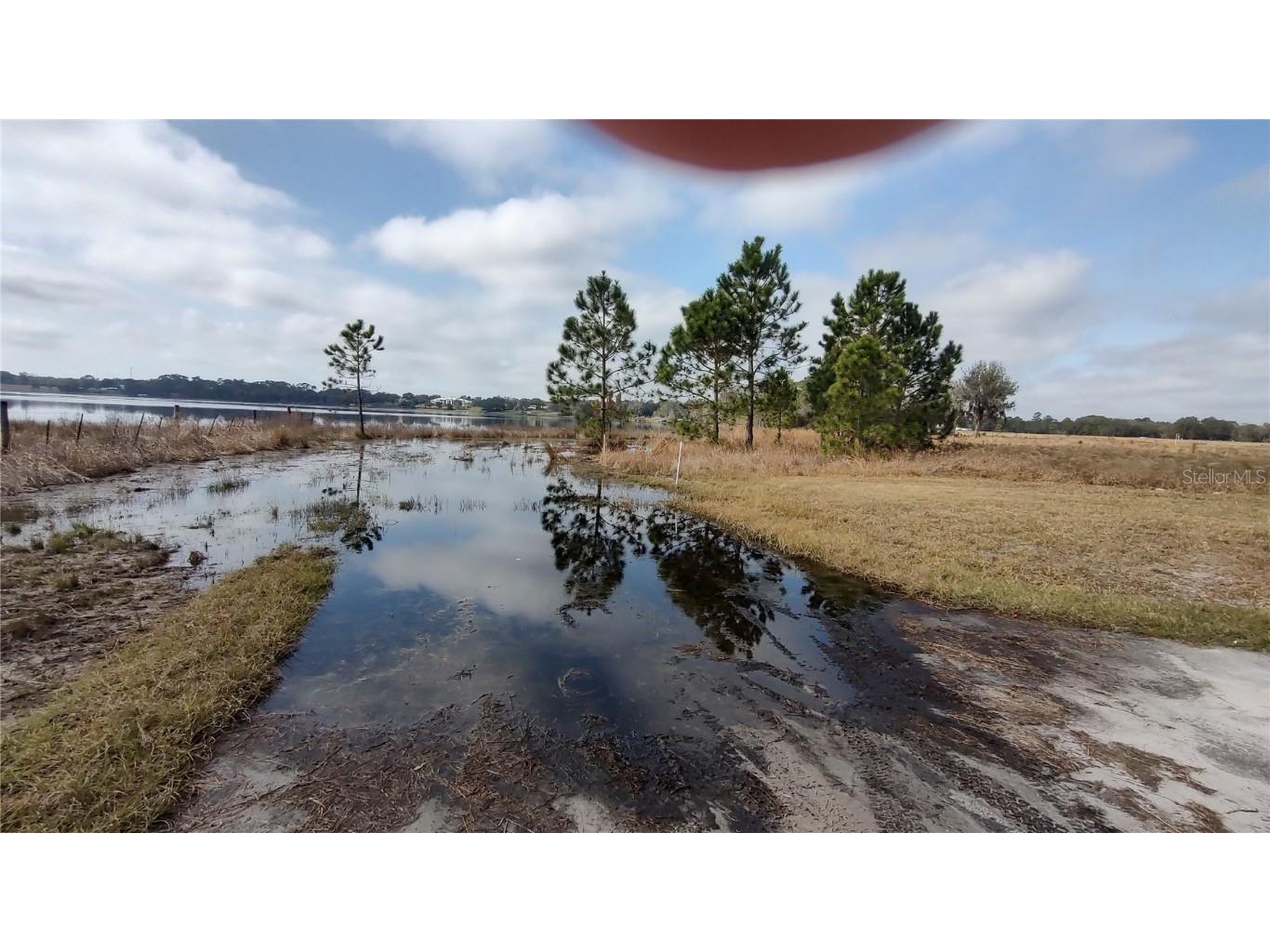 38401 Wooded Meadow Drive Umatilla FL 32784 - LAKE DALHOUSIE G5092431 image17