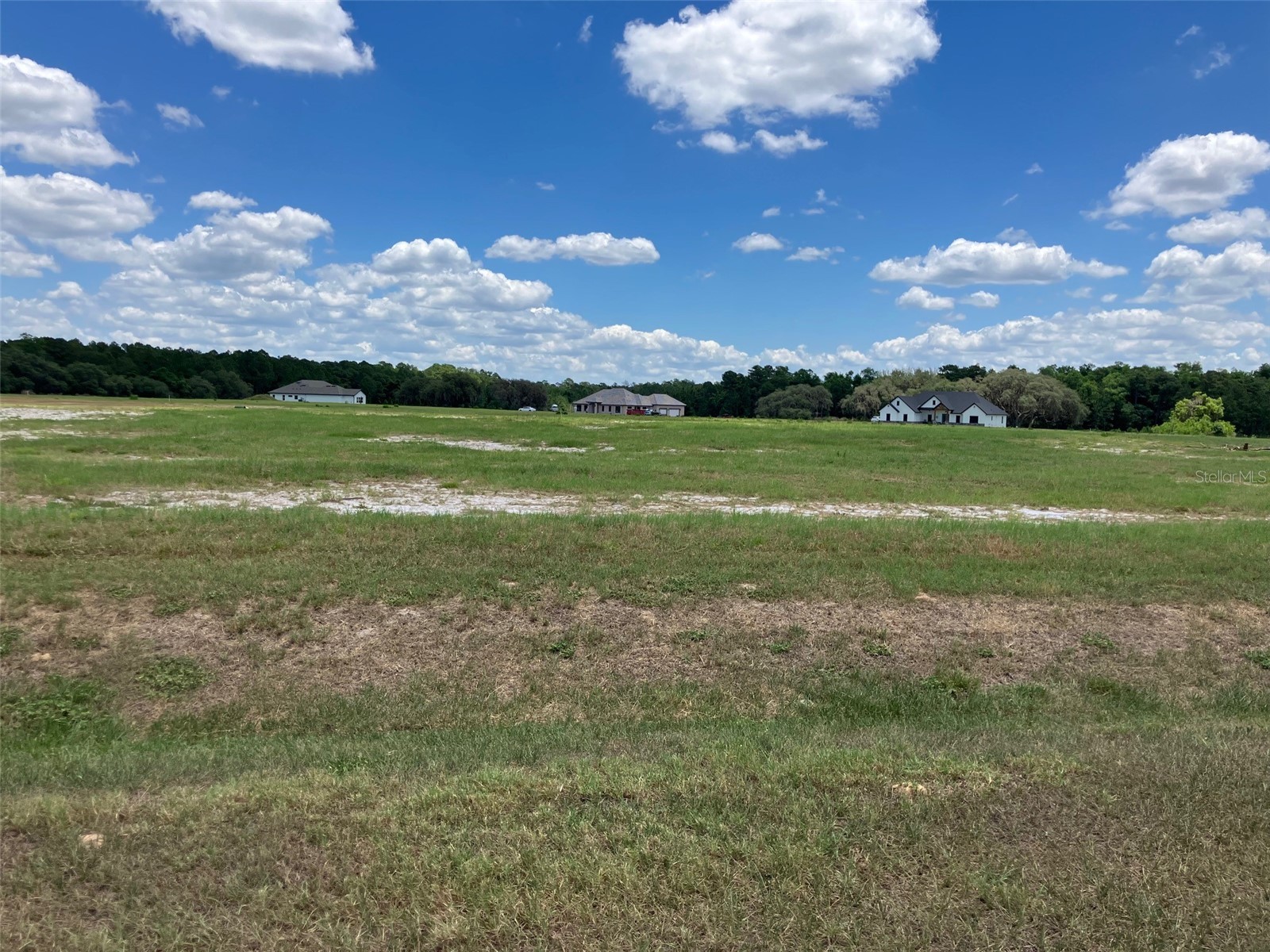 38402 Wooded Meadow Drive Umatilla FL 32784 - LAKE DALHOUSIE G5112521 image1