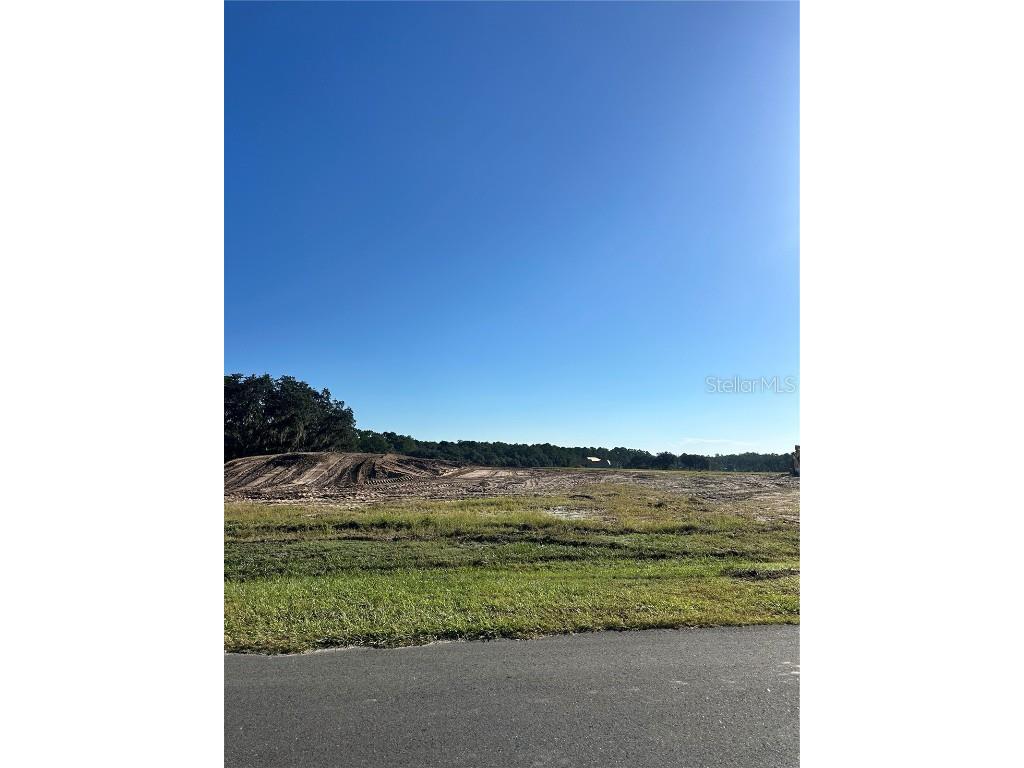 38404 Wooded Meadow Drive Umatilla FL 32784 - LAKE DALHOUSIE G5103557 image1