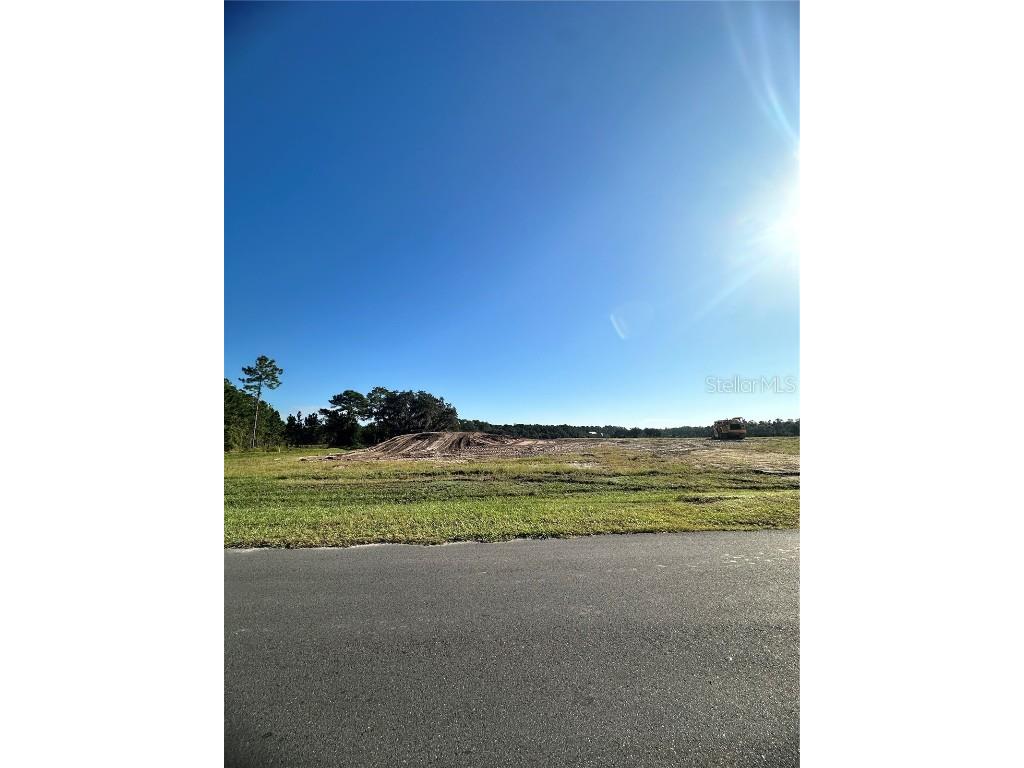 38404 Wooded Meadow Drive Umatilla FL 32784 - LAKE DALHOUSIE G5103557 image2