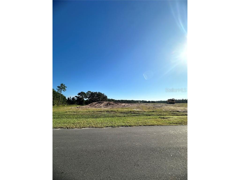 38404 Wooded Meadow Drive Umatilla FL 32784 - LAKE DALHOUSIE G5103557 image3