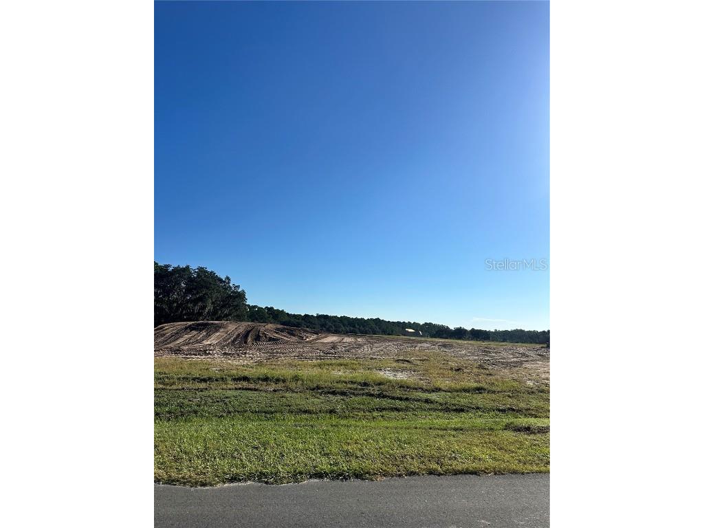 38404 Wooded Meadow Drive Umatilla FL 32784 - LAKE DALHOUSIE G5103557 image4