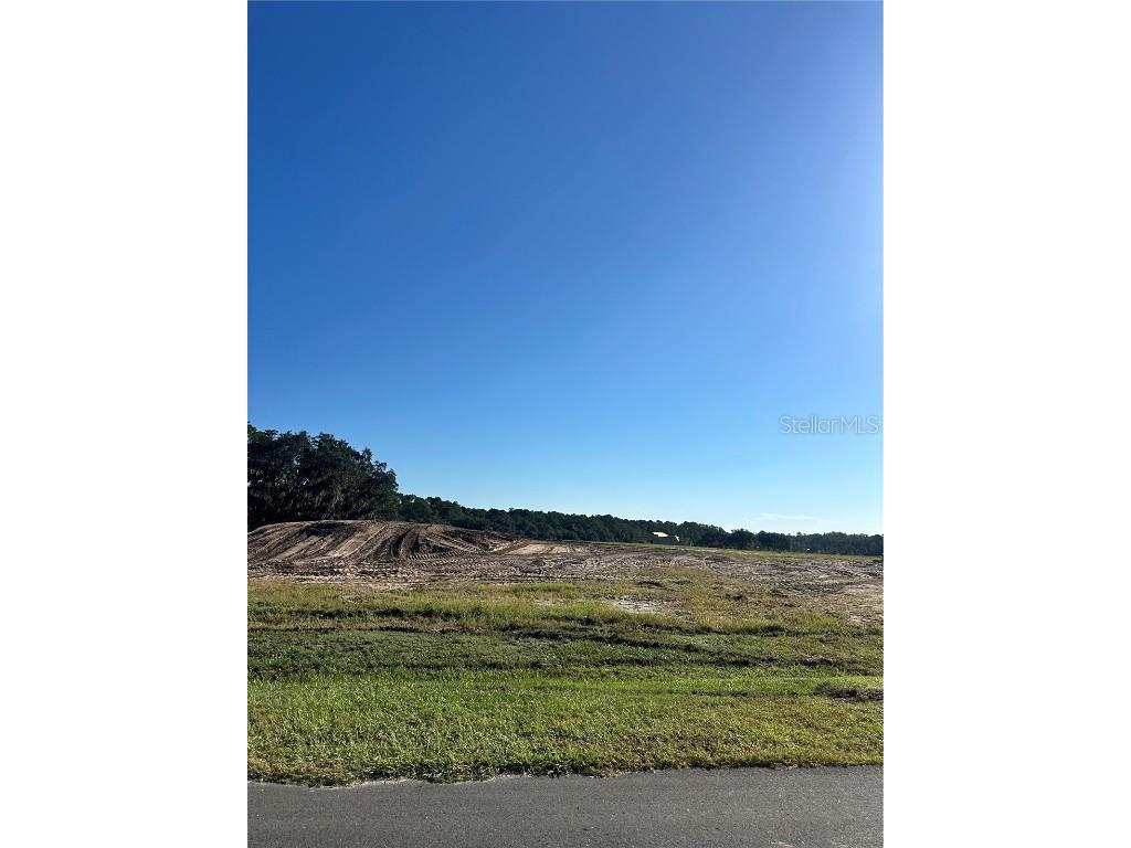 38404 Wooded Meadow Drive Umatilla FL 32784 - LAKE DALHOUSIE G5103557 image5