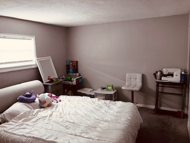 3841 Chaffey Drive New Port Richey FL 34652 TB8467226 image10