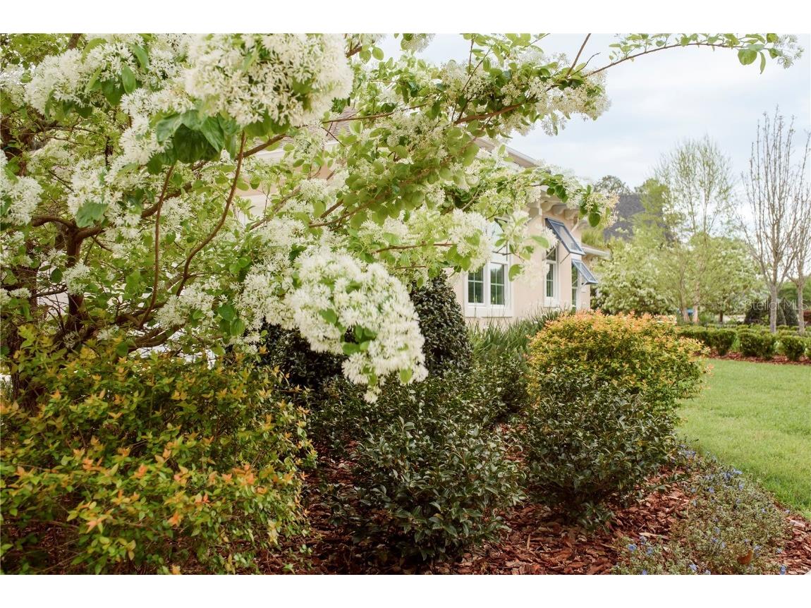 3841 SW 69th Avenue Gainesville FL 32608 GC535316 image51