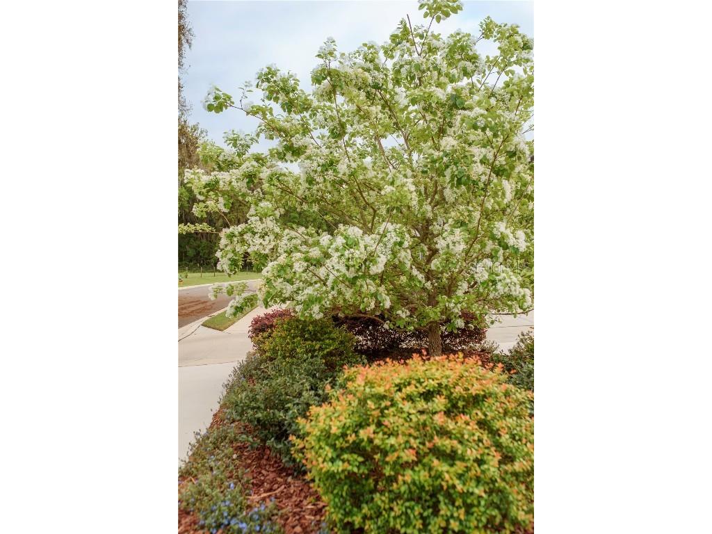 3841 SW 69th Avenue Gainesville FL 32608 GC535316 image52