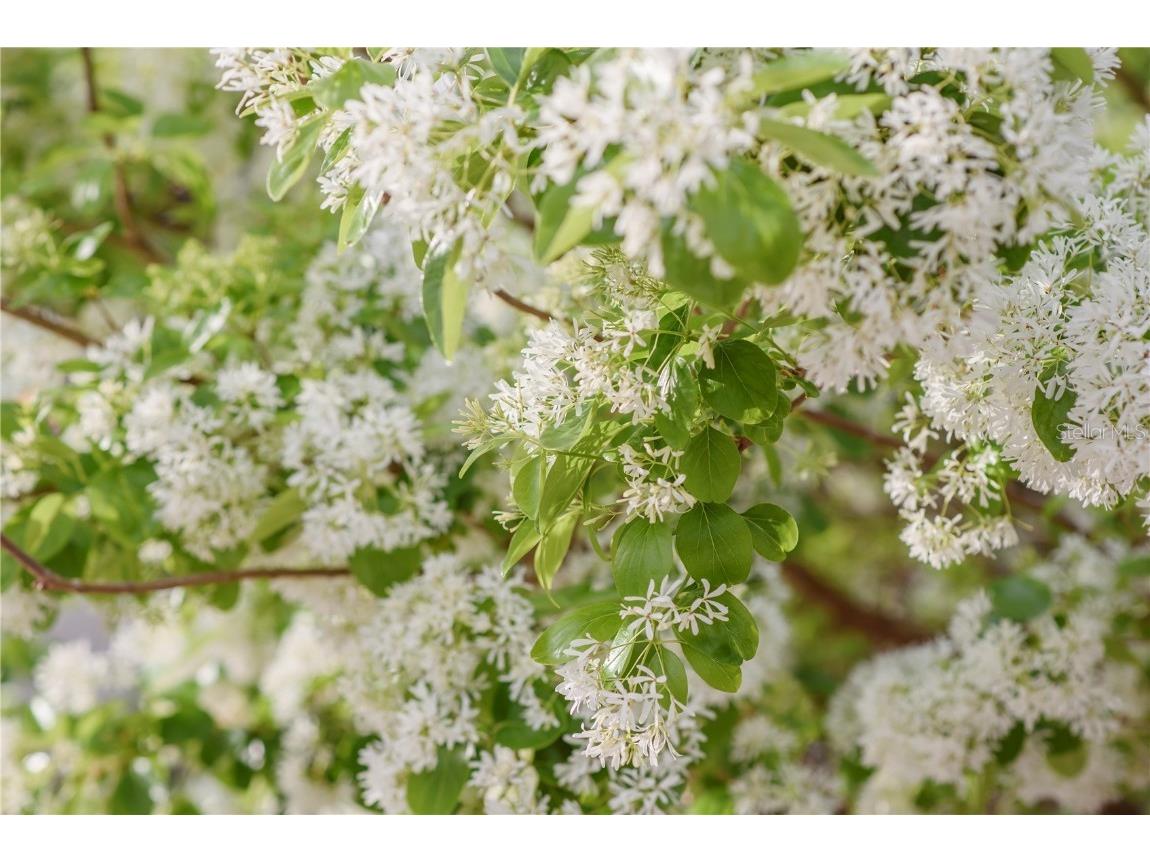 3841 SW 69th Avenue Gainesville FL 32608 GC535316 image54