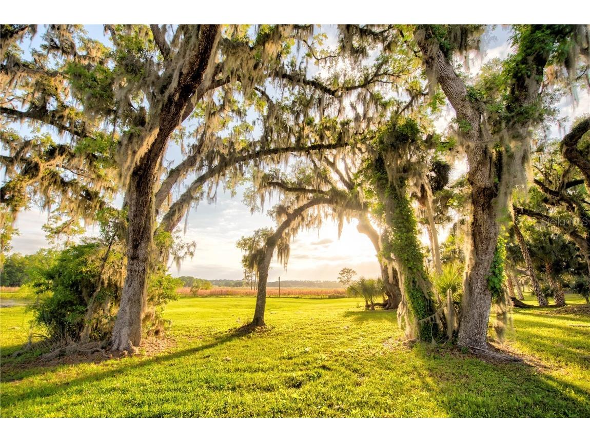 3841 SW 69th Avenue Gainesville FL 32608 GC535316 image61