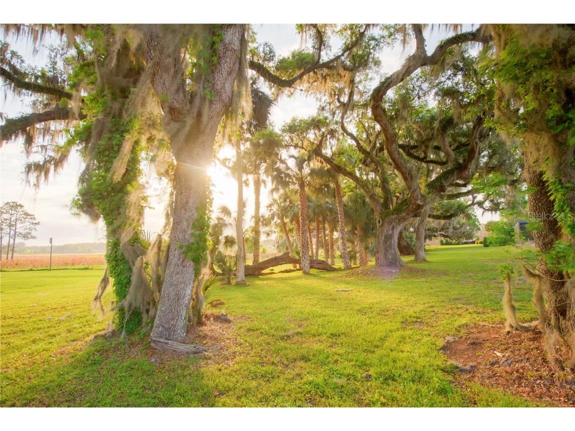 3841 SW 69th Avenue Gainesville FL 32608 GC535316 image62