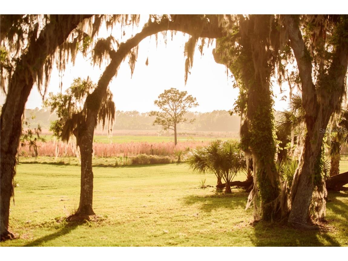 3841 SW 69th Avenue Gainesville FL 32608 GC535316 image64