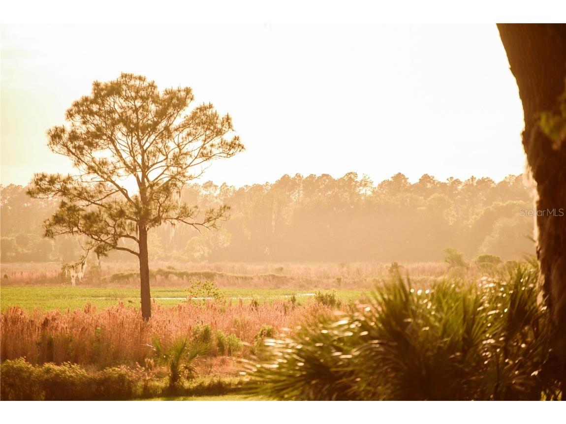 3841 SW 69th Avenue Gainesville FL 32608 GC535316 image65