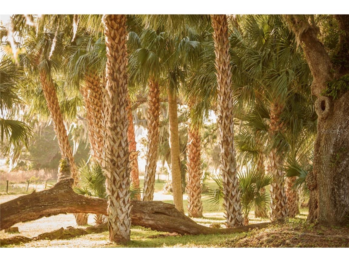 3841 SW 69th Avenue Gainesville FL 32608 GC535316 image66