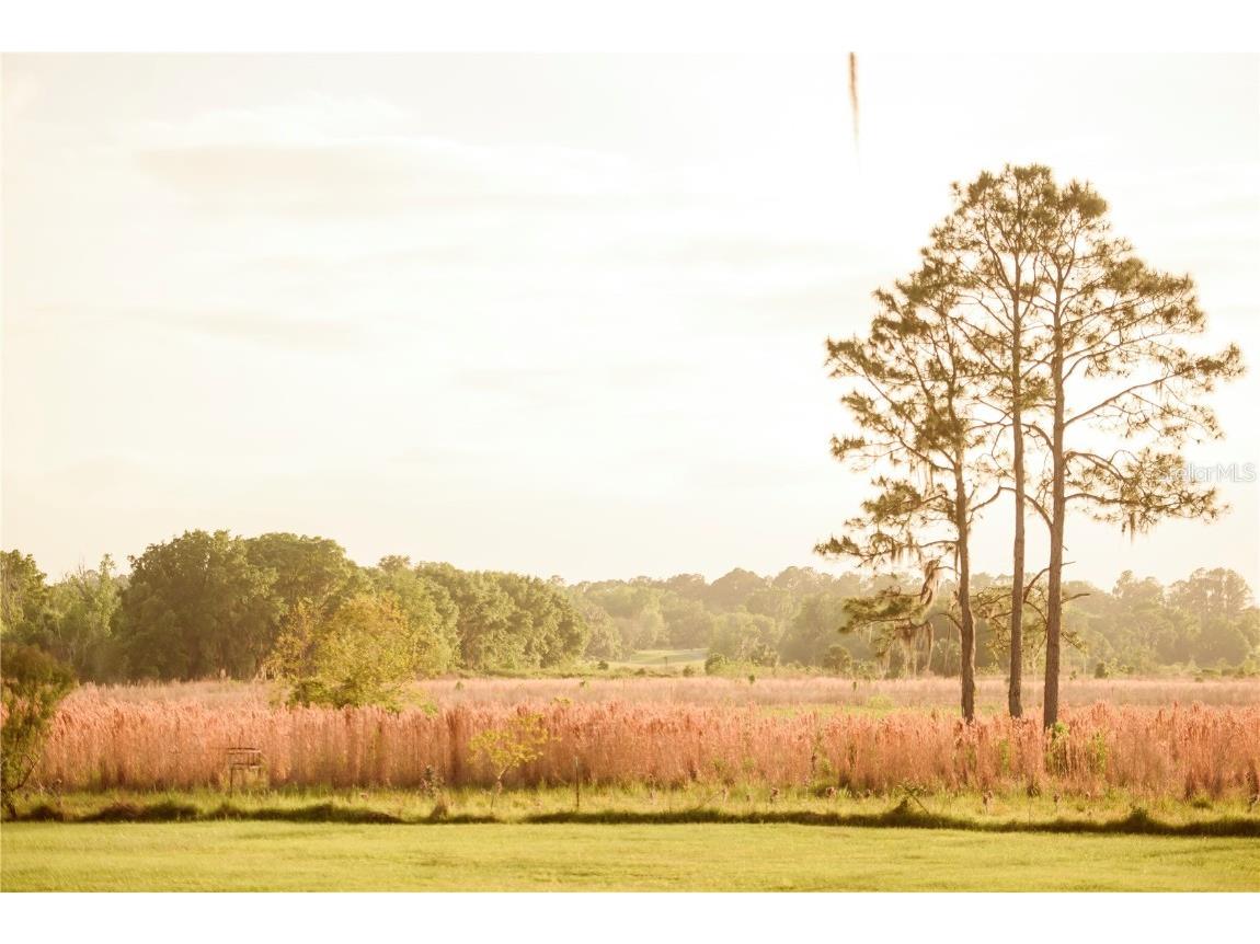 3841 SW 69th Avenue Gainesville FL 32608 GC535316 image67