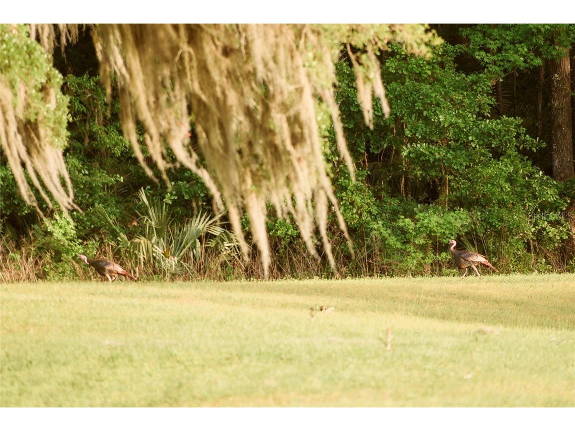 3841 SW 69th Avenue Gainesville FL 32608 GC535316 image69