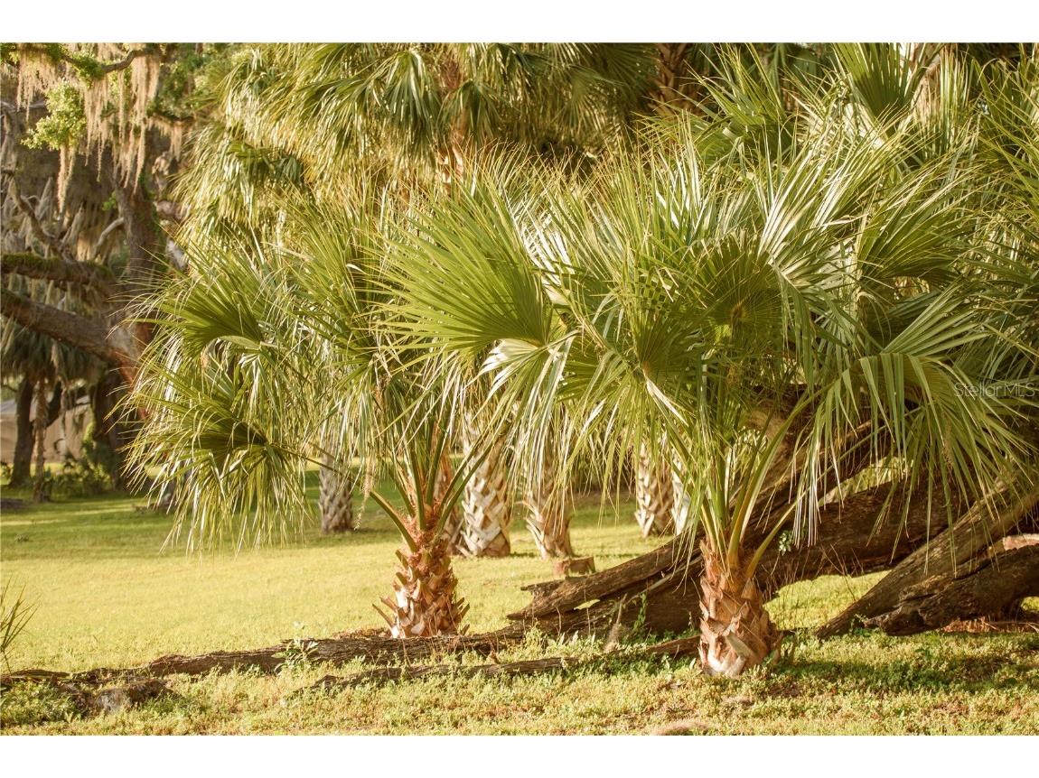 3841 SW 69th Avenue Gainesville FL 32608 GC535316 image70