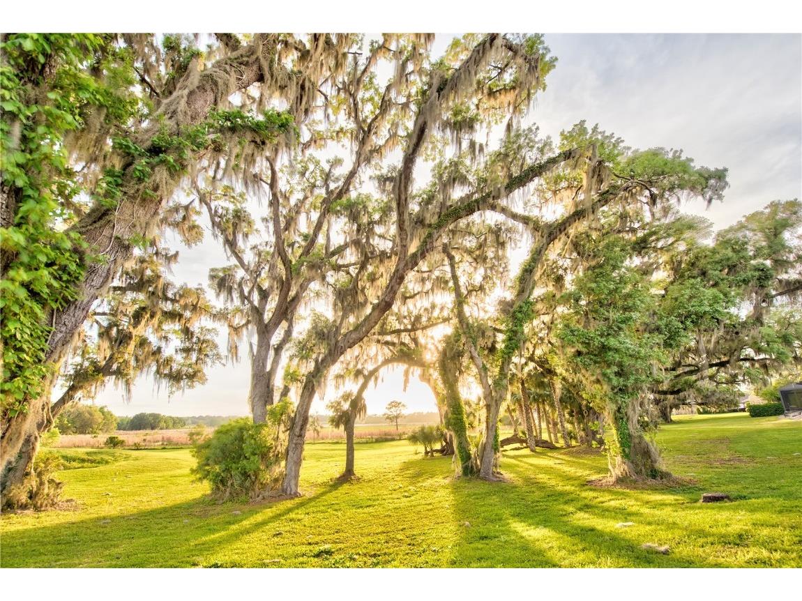 3841 SW 69th Avenue Gainesville FL 32608 GC535316 image74