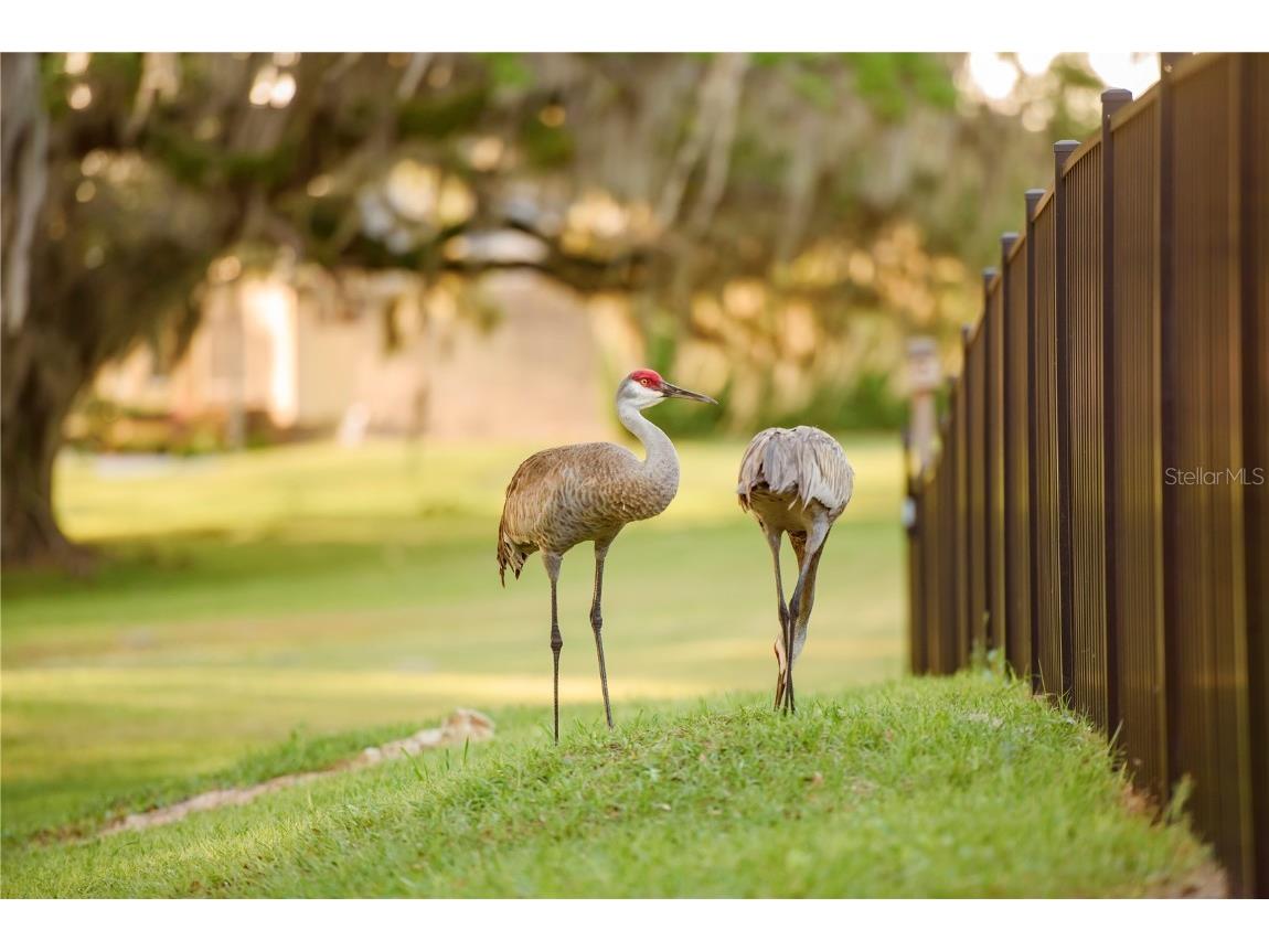 3841 SW 69th Avenue Gainesville FL 32608 GC535316 image78