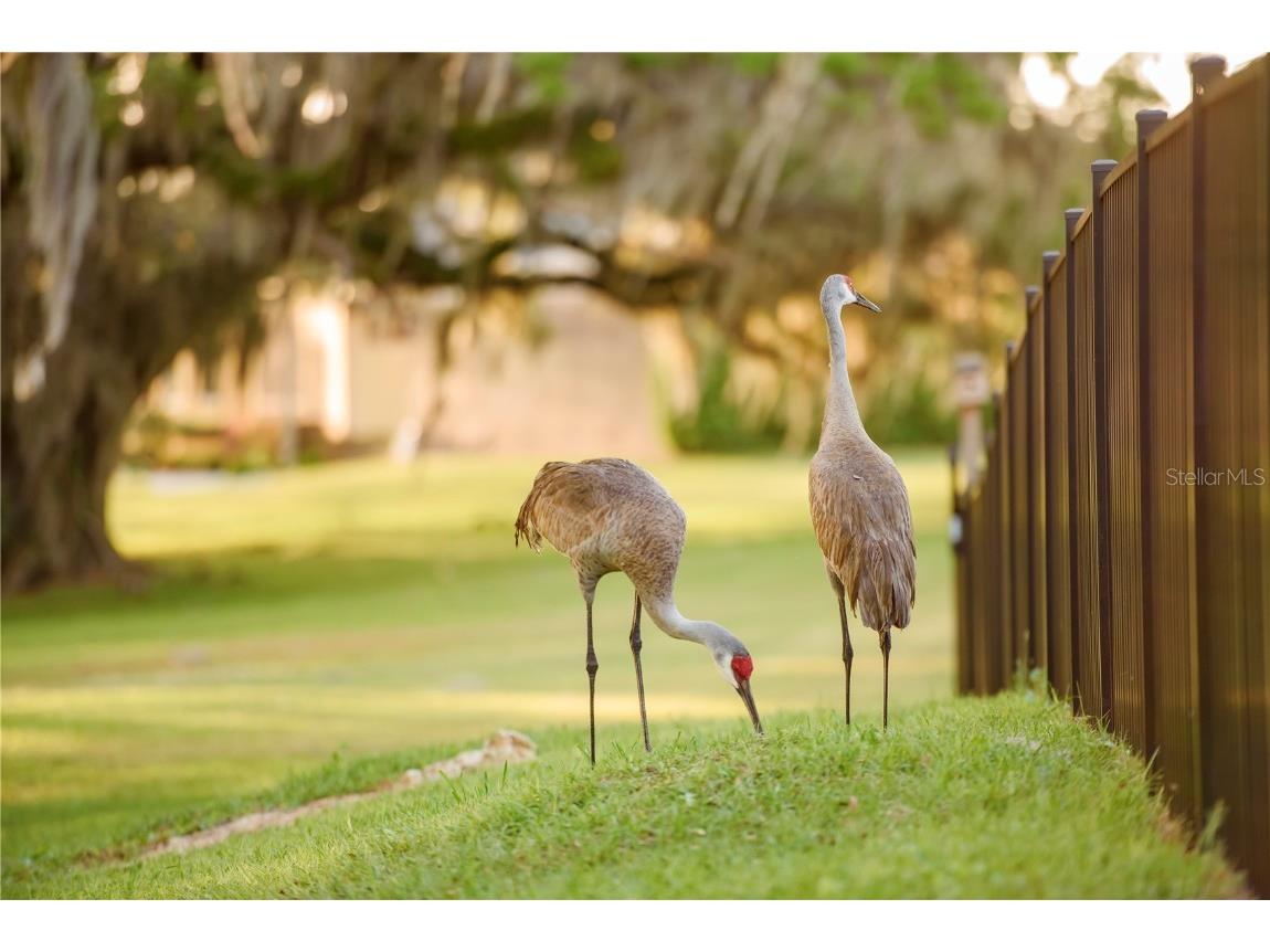 3841 SW 69th Avenue Gainesville FL 32608 GC535316 image79