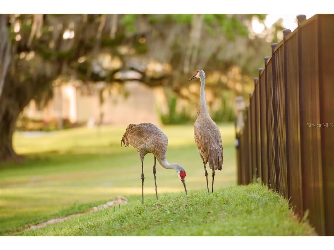 3841 SW 69th Avenue Gainesville FL 32608 GC535316 image80