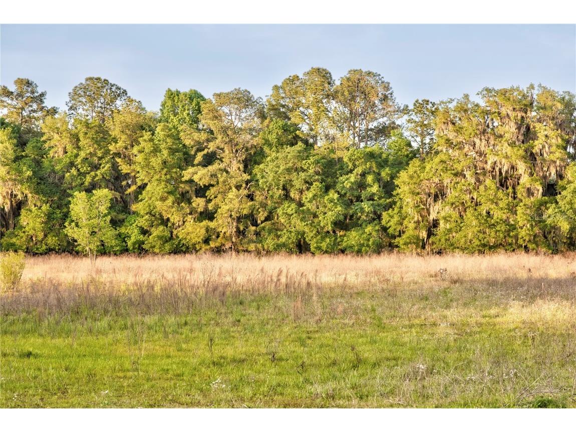 3841 SW 69th Avenue Gainesville FL 32608 GC535316 image87