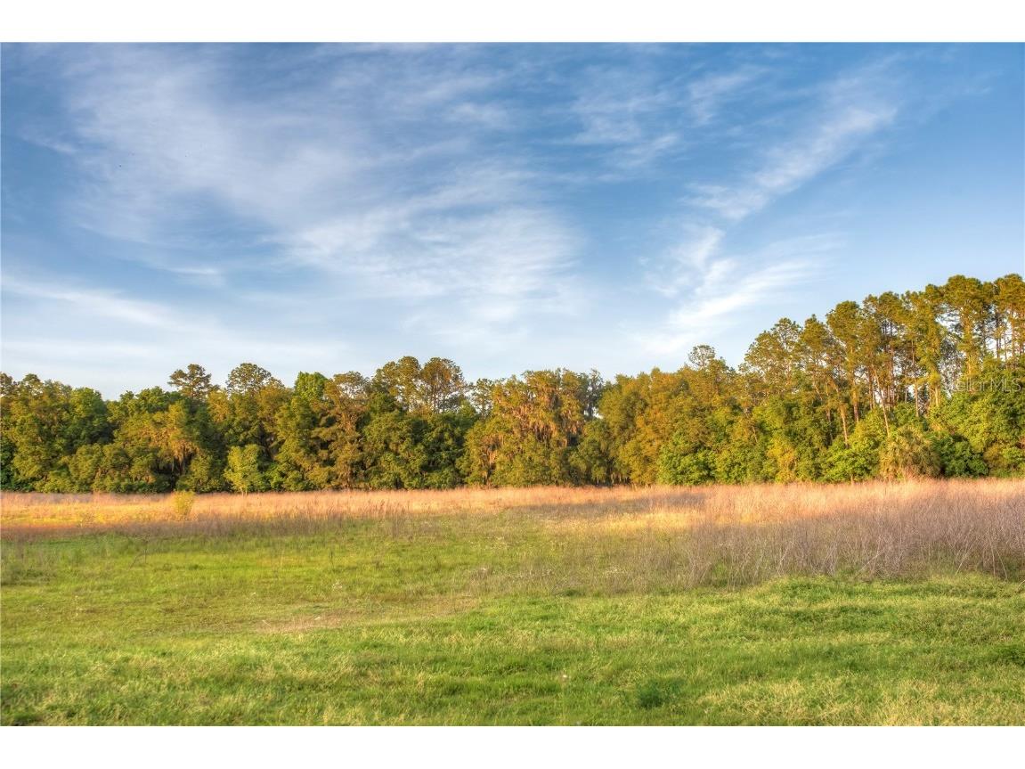 3841 SW 69th Avenue Gainesville FL 32608 GC535316 image88