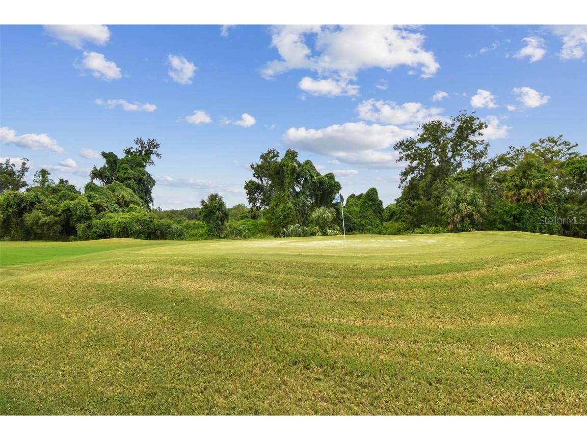 3841 Trophy Boulevard #3841 New Port Richey FL 34655 TB8426727 image54