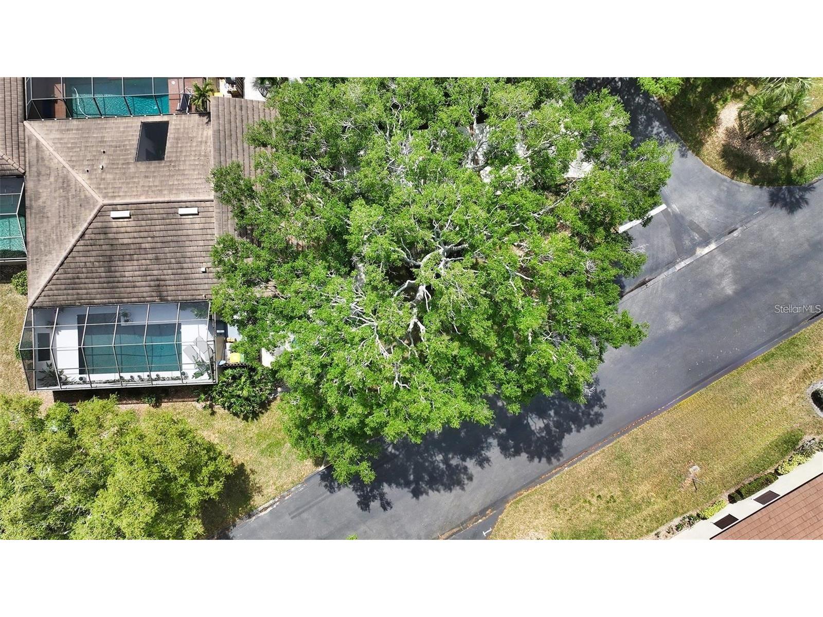 3842 Glen Oaks Manor Drive Sarasota FL 34232 A4689406 image37