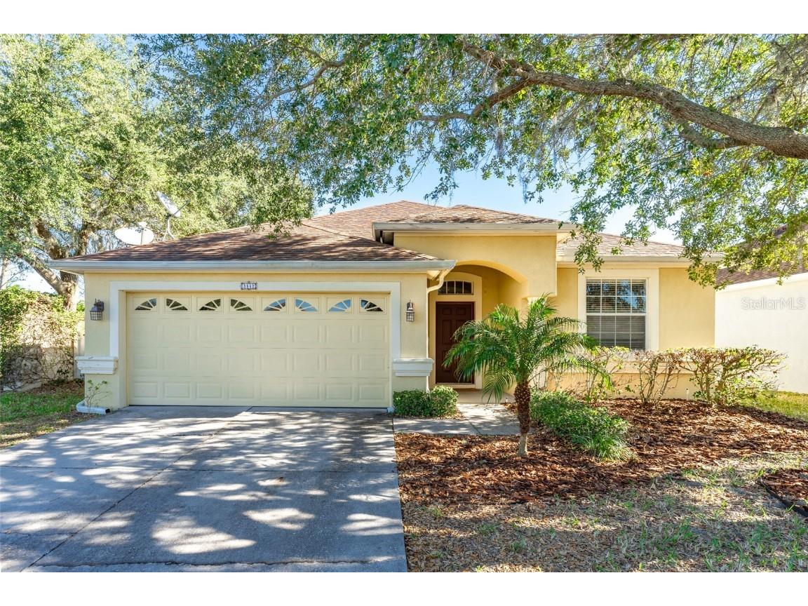 3842 Langdrum Drive Wesley Chapel FL 33543 T3485425 image1