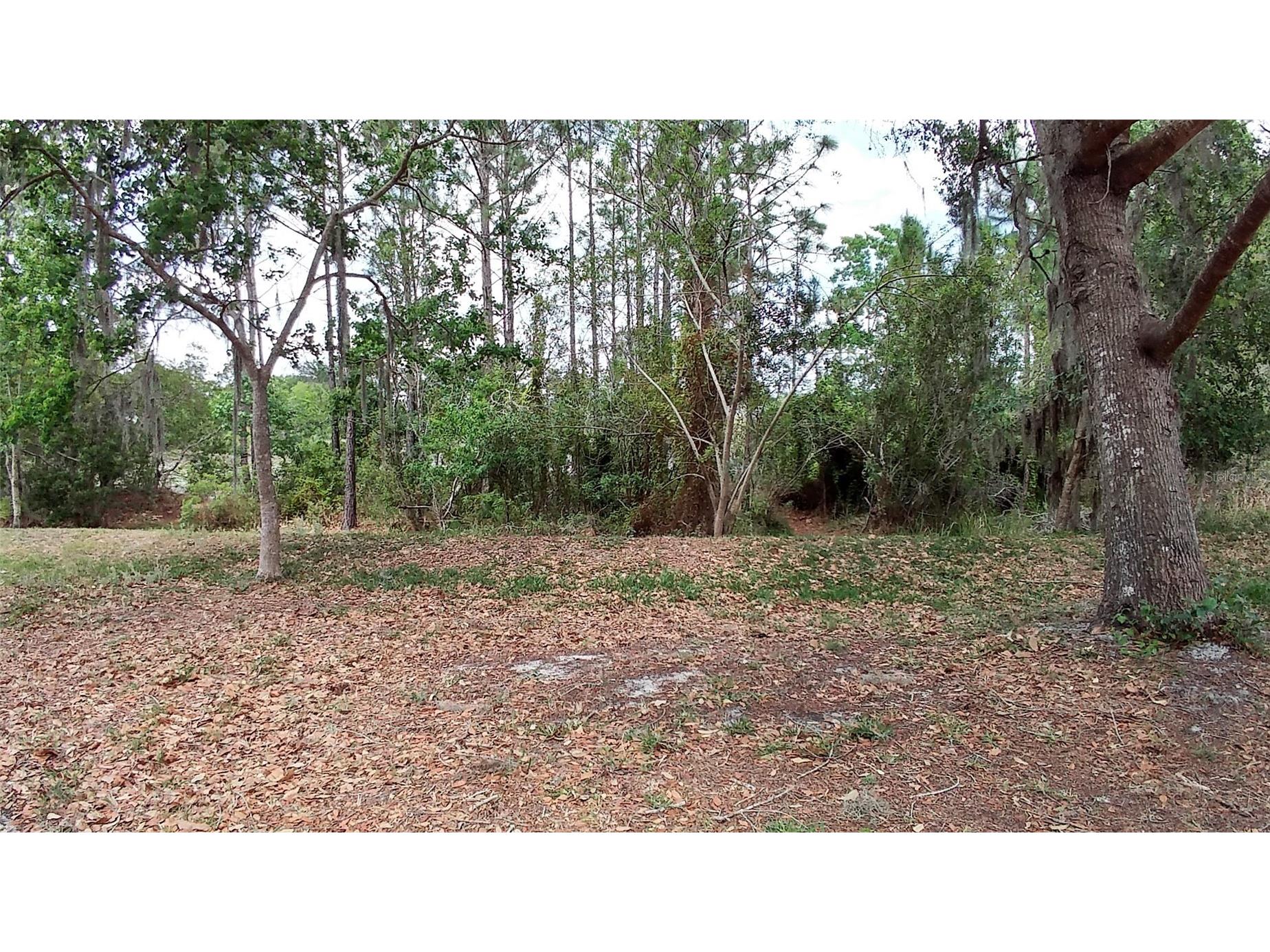 3842 Stonefield Drive Orlando FL 32826 O6394295 image12