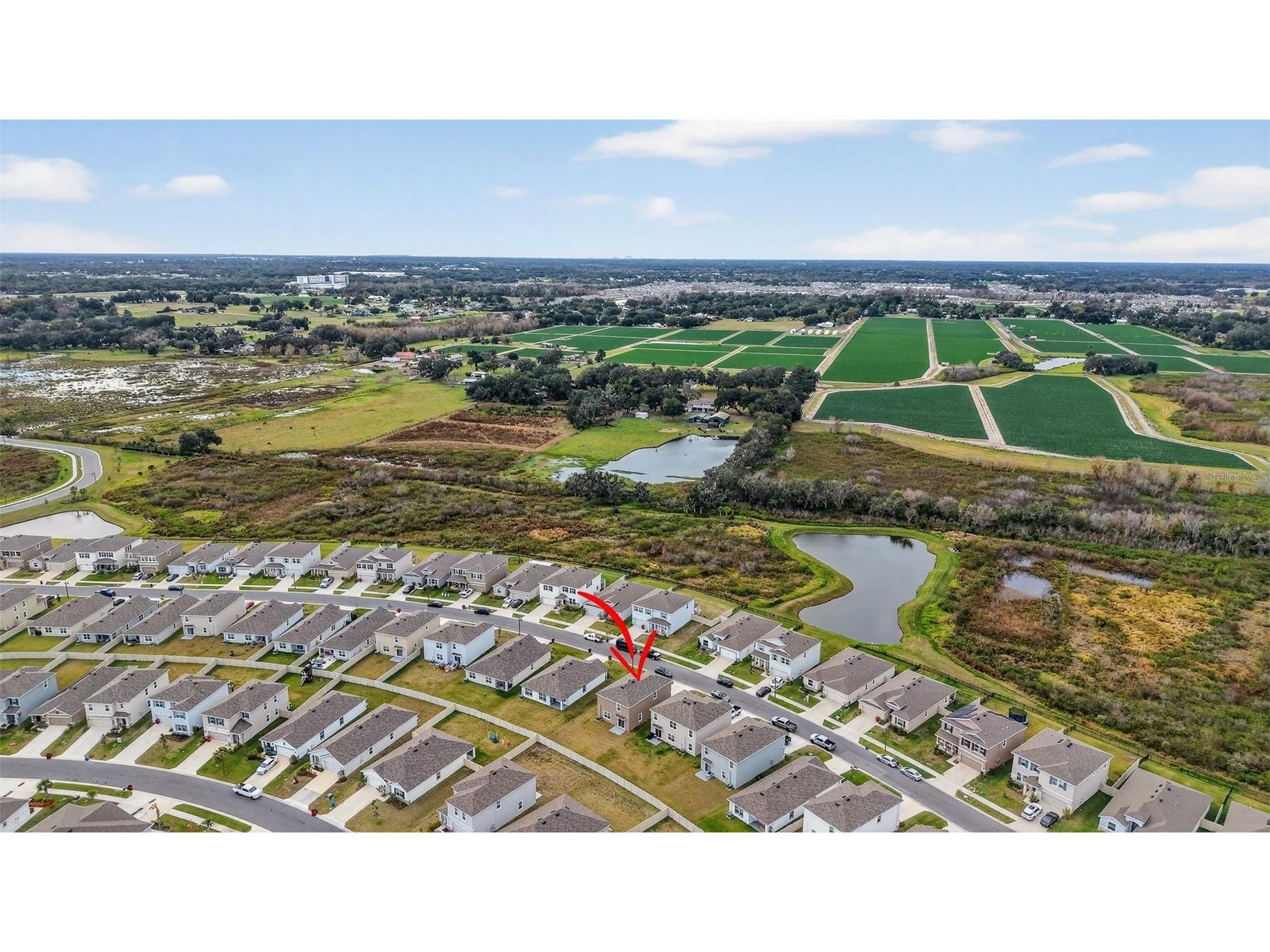 3842 Sunny Spring Street Plant City FL 33565 TB8459368 image43