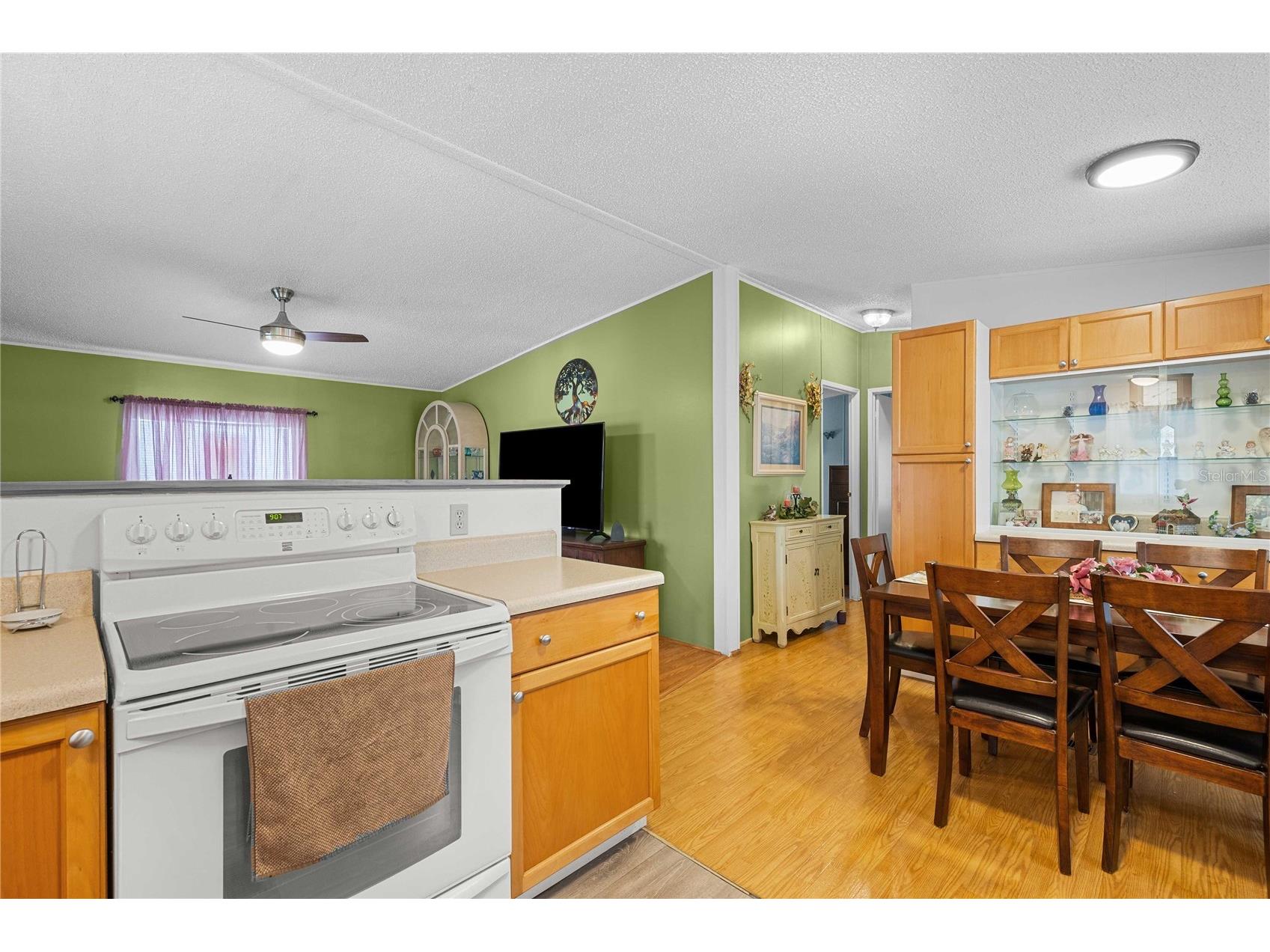 3843 Chris Drive Wesley Chapel FL 33543 TB8495238 image11
