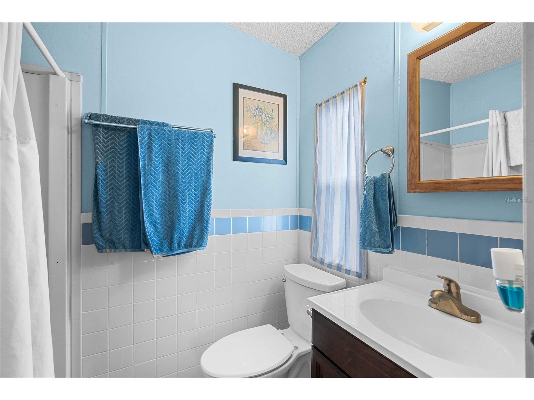 3843 Chris Drive Wesley Chapel FL 33543 TB8495238 image20