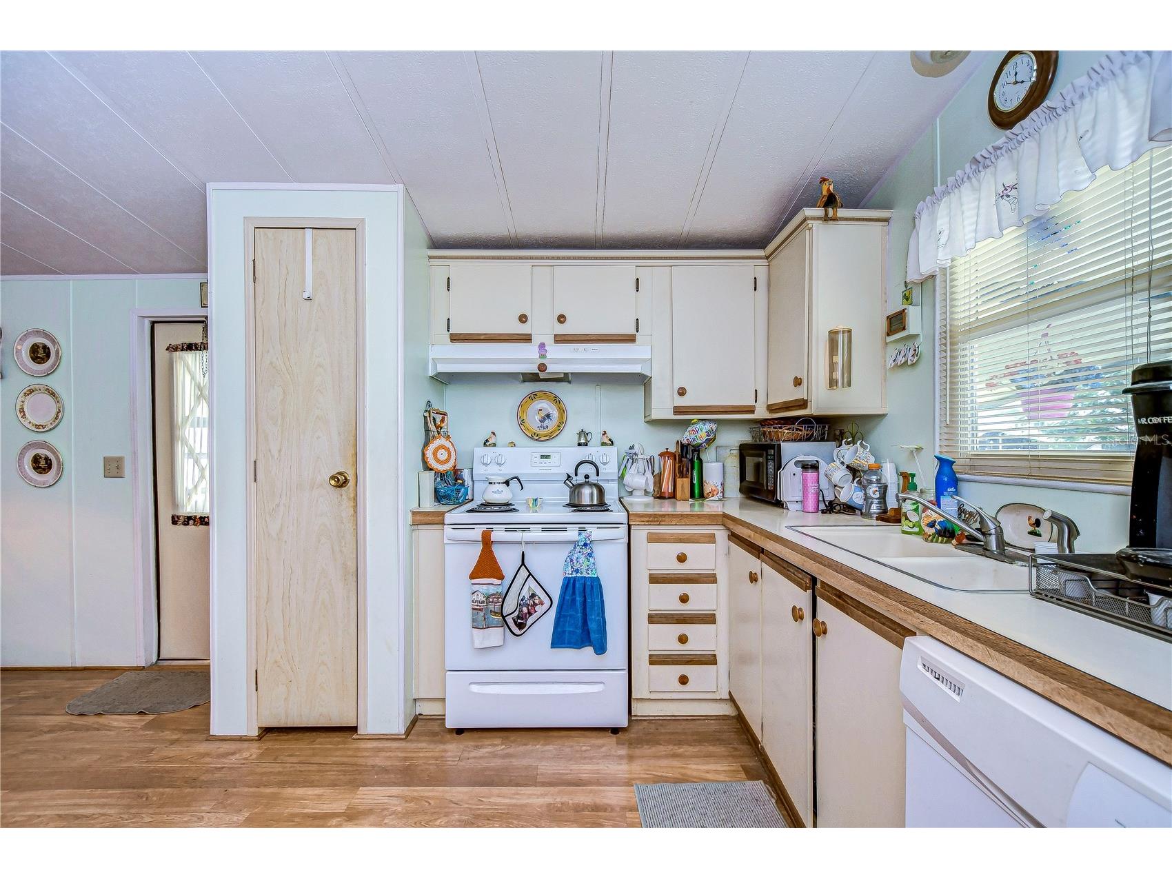 3843 Damian Drive Zephyrhills FL 33541 TB8504155 image15