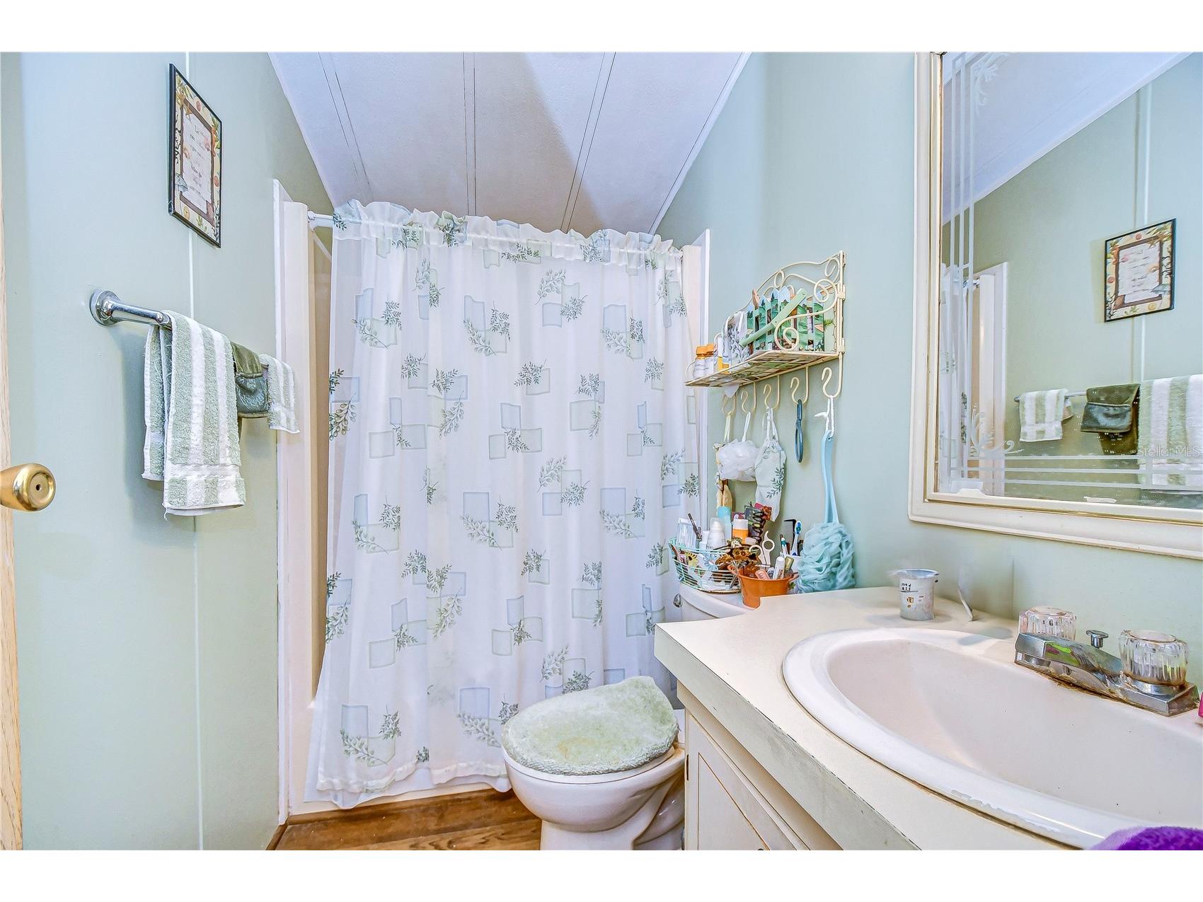 3843 Damian Drive Zephyrhills FL 33541 TB8504155 image19