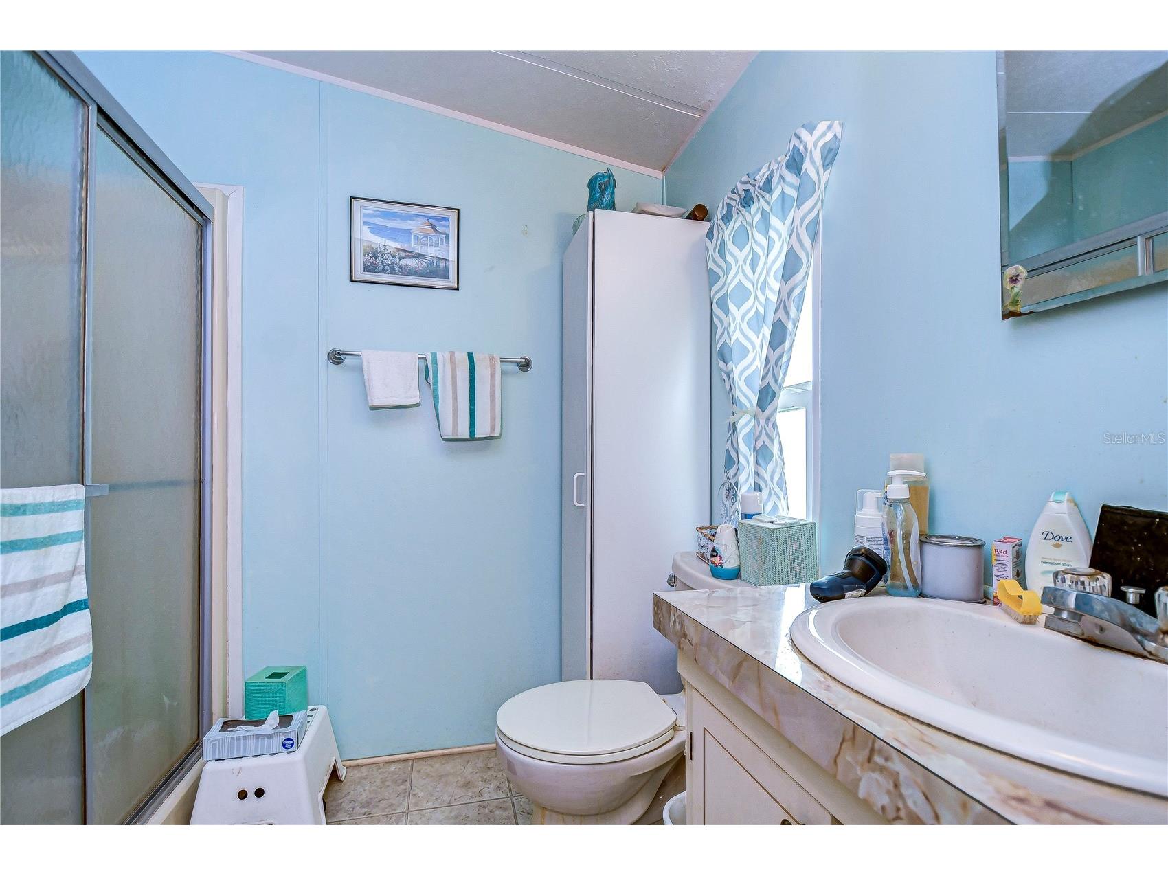 3843 Damian Drive Zephyrhills FL 33541 TB8504155 image23