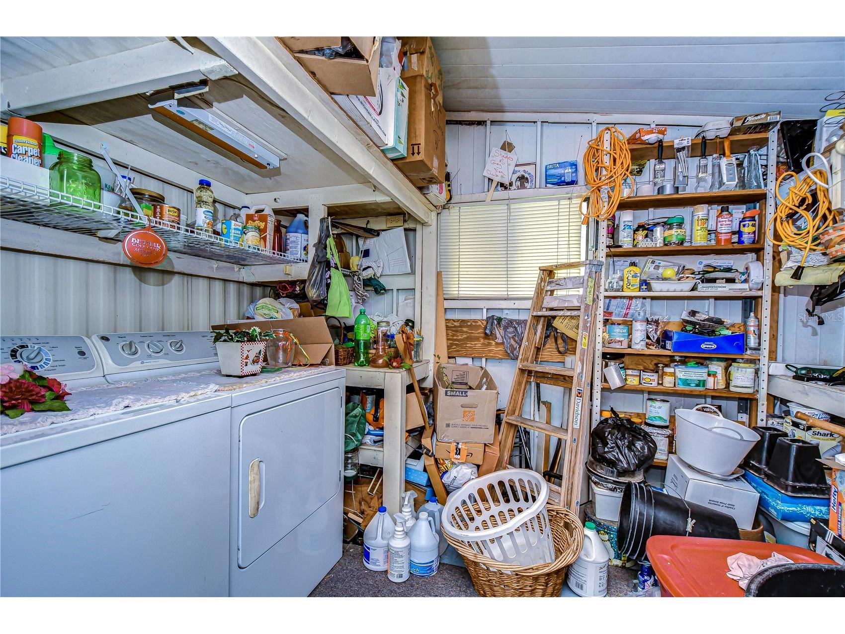 3843 Damian Drive Zephyrhills FL 33541 TB8504155 image9