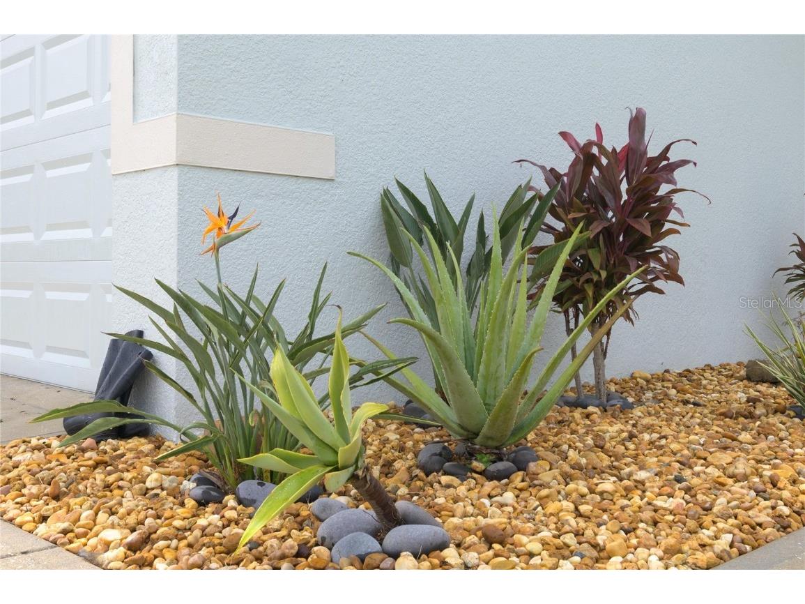 3843 Eloise Estates Court Winter Haven FL 33881 P4936639 image3