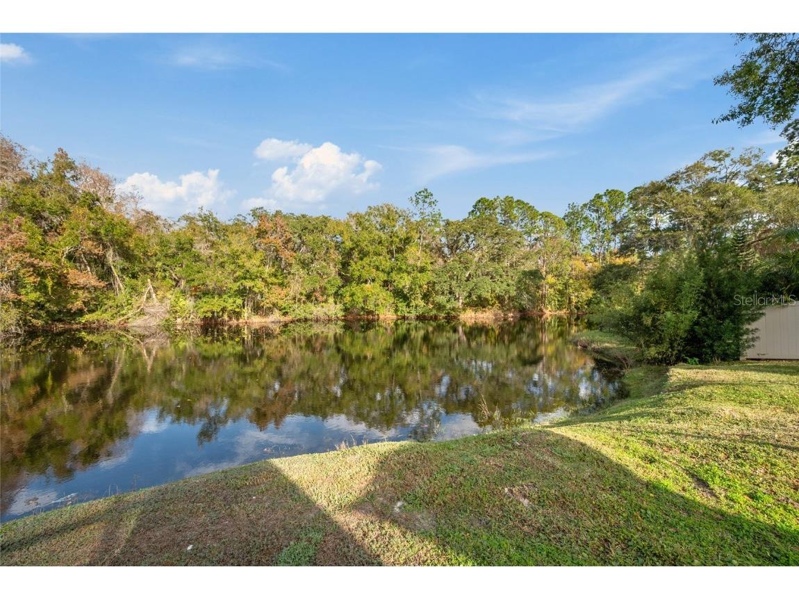 3843 Georgia Court Tarpon Springs FL 34688 TB8458815 image55