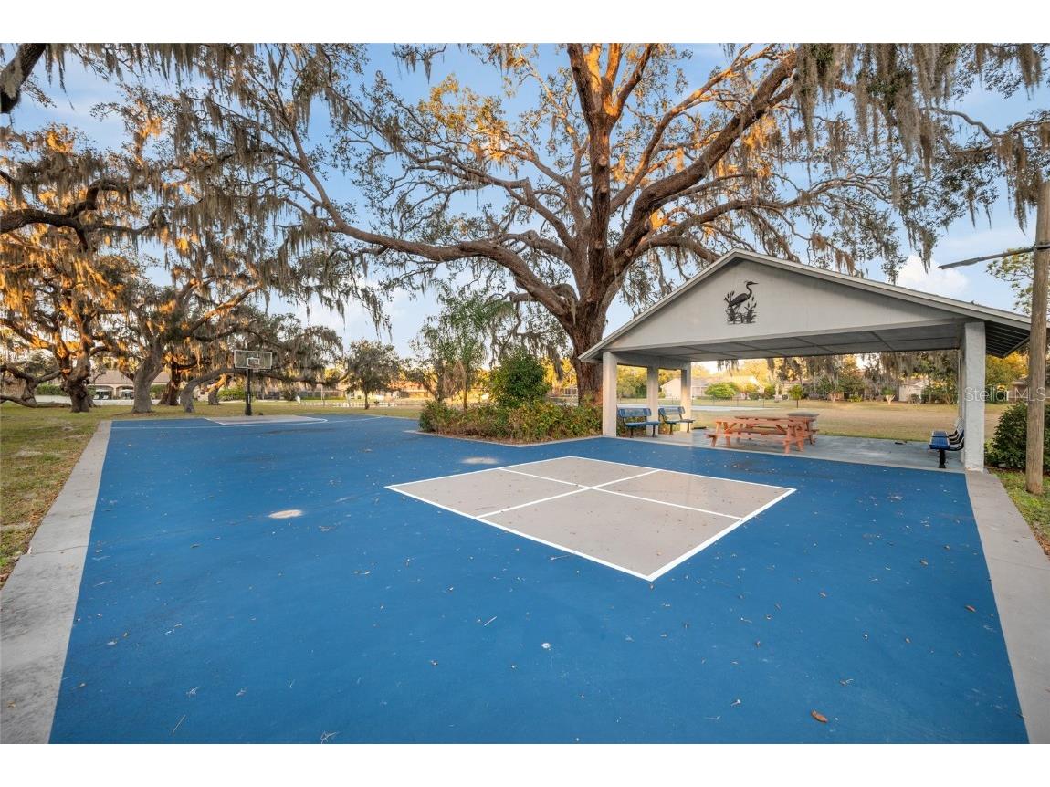 3843 Georgia Court Tarpon Springs FL 34688 TB8458815 image63