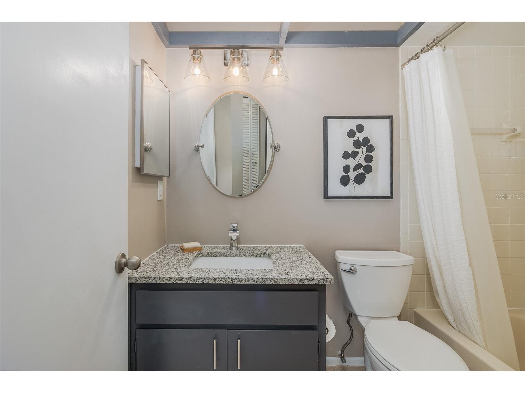 3843 Goldfinch Court Palm Harbor FL 34685 TB8495185 image15