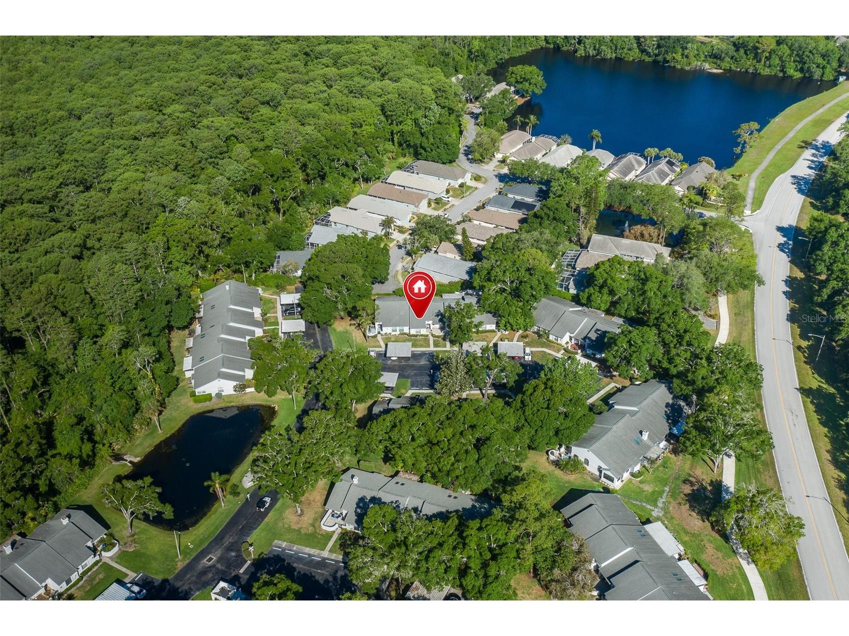 3843 Goldfinch Court Palm Harbor FL 34685 TB8495185 image20