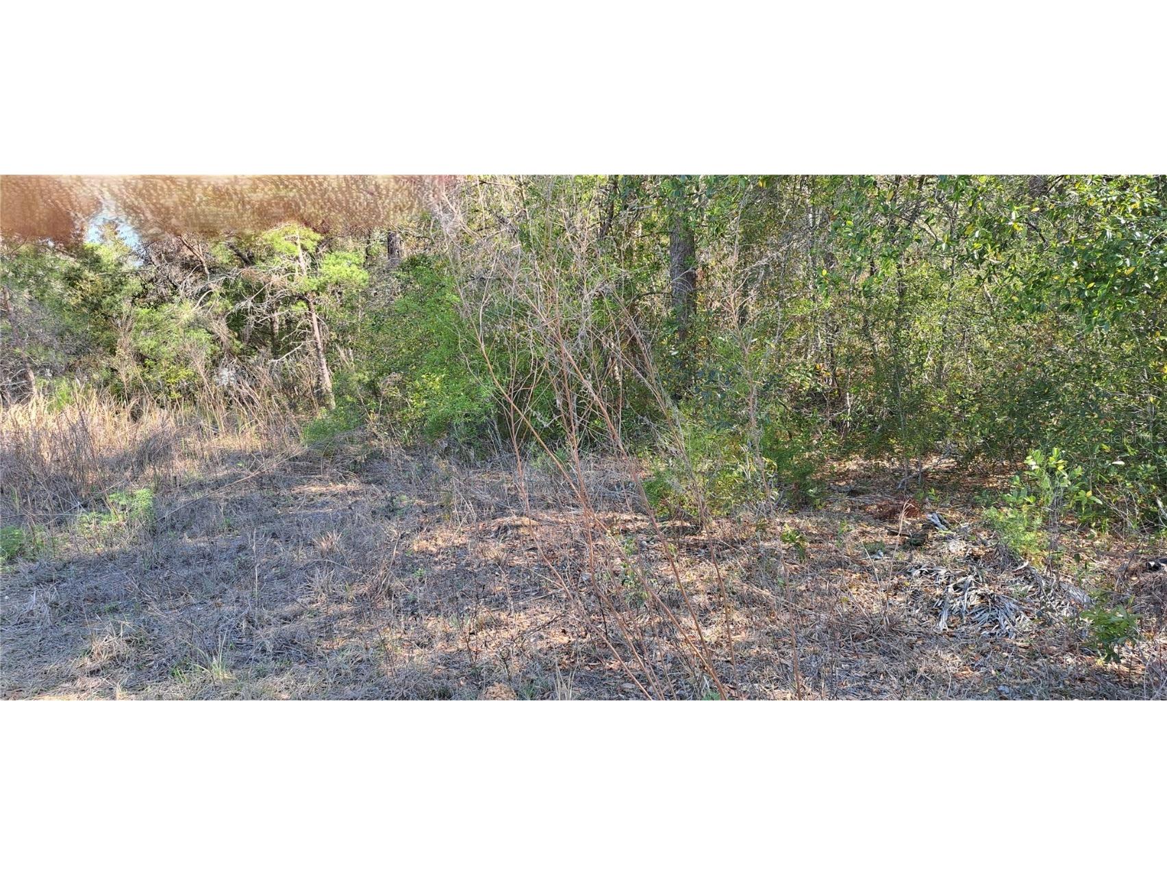 3844 E Crystal Lane Inverness FL 34452 OM698183 image1