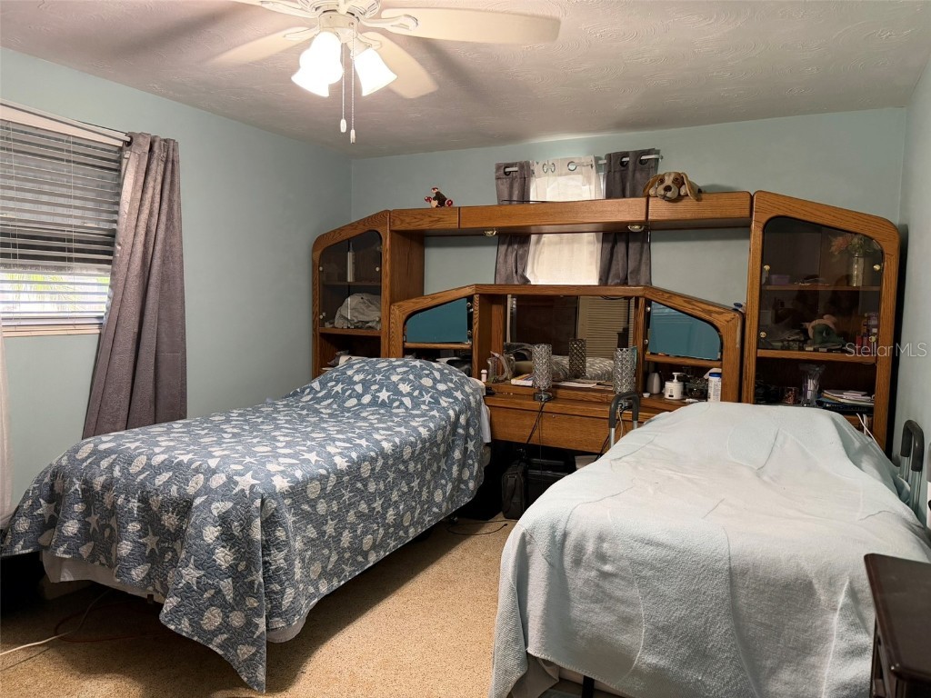 3844 Redwood Drive Holiday FL 34691 TB8438432 image10