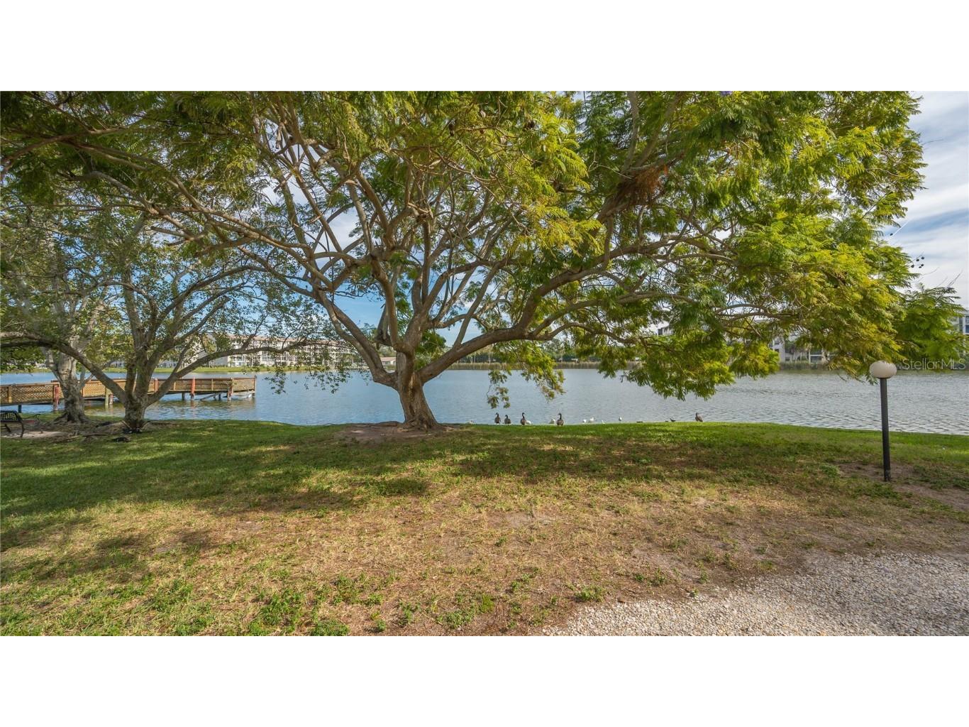 3845 Lake Bayshore Drive #F103 Bradenton FL 34205 N6138113 image33